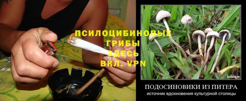 Галлюциногенные грибы MAGIC MUSHROOMS  Лобня 